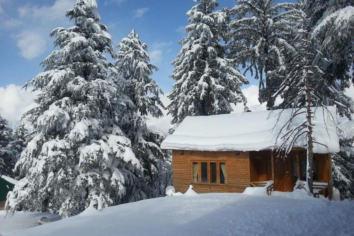 Arcadian Sprucewoods Hotel Shogran ภายนอก รูปภาพ